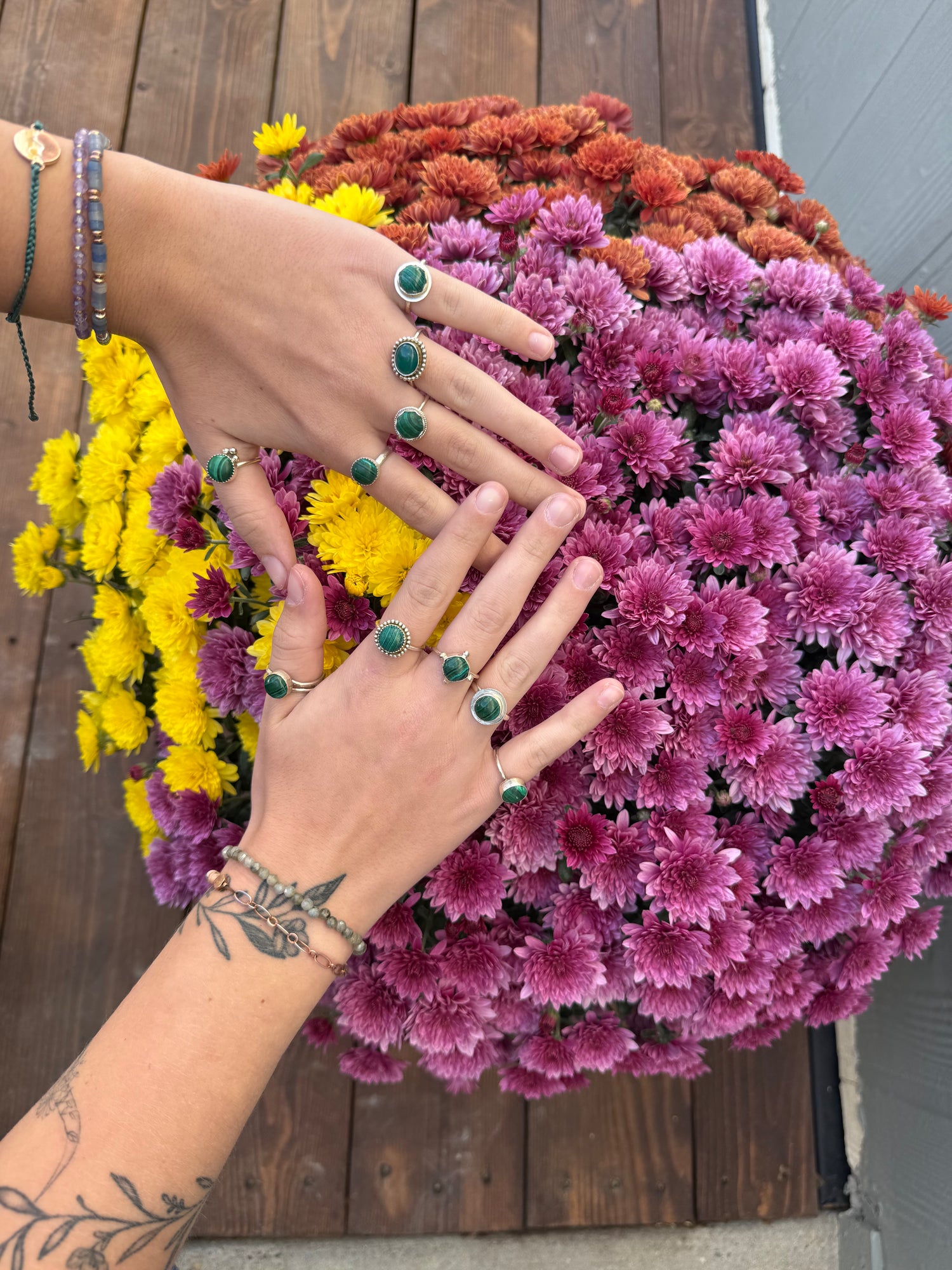 🌲Enchantment Collection🌲