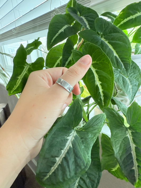 All around Summit Ring